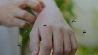 被蚊子叮咬后离死亡有多近？
