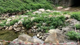 民生“幸福账单”丨8条河道“硬核”升级！