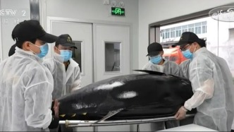 盐田企业“鲜”上央视！全球海鲜48小时直达餐桌！