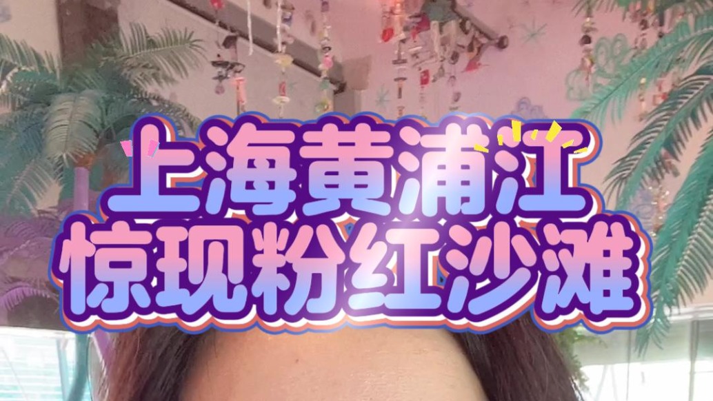上海黃浦江驚現(xiàn)粉紅沙灘