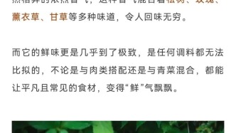 就為這一口，也值得每年夏天都來林芝！