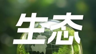 大范圍高溫進入最強時段多地可超40℃！三伏會更熱嗎？為何人們會感覺比預報溫度要熱？