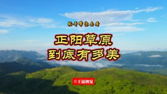 巴山秘境，云端凈土——平利正陽草原到底有多美？