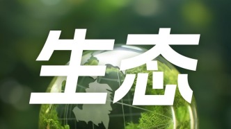 熱浪中別只看普通氣溫，專家解析“濕球溫度”