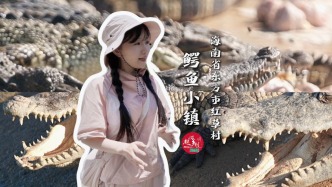 中国鳄鱼第一村，一个不足4000人的海南小村庄，竟生活着40万只鳄鱼