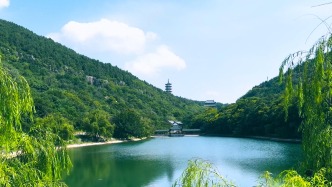 蘭陵，和棗莊只有一毛錢的關(guān)系？