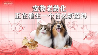 寵物老齡化，正在催生一個(gè)百億新藍(lán)海