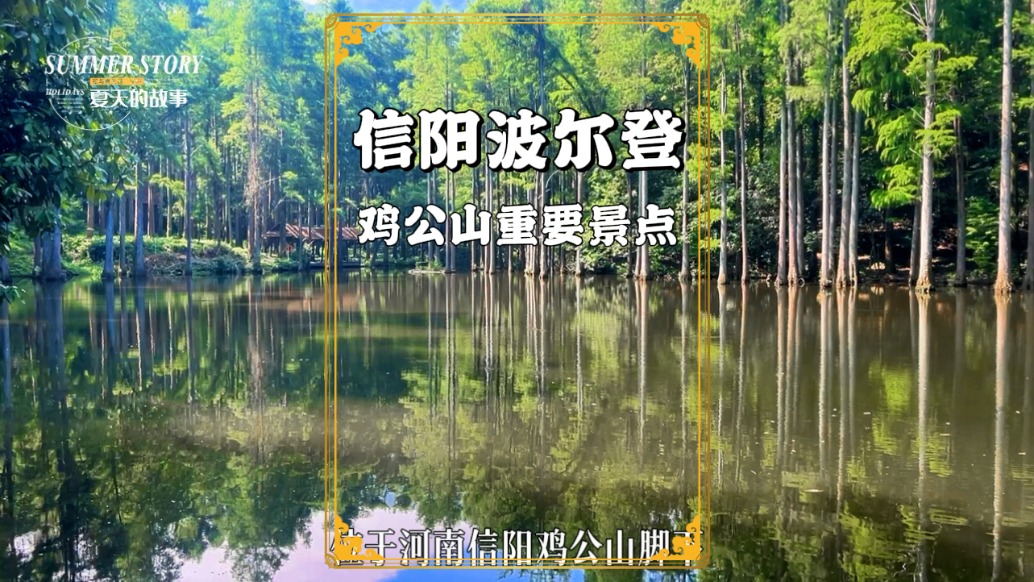 河南避暑好去處：信陽波爾登森林公園，一秒墜入現(xiàn)實版愛麗絲仙境