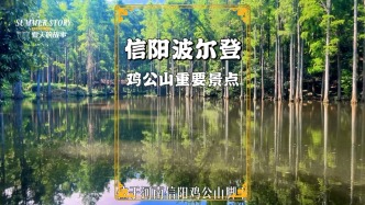 河南避暑好去處：信陽波爾登森林公園，一秒墜入現(xiàn)實版愛麗絲仙境