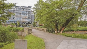 【历史文化】一座桥延伸出的行走记忆‖唐录梅 