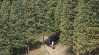 乌鲁木齐的关键词，少不了美食、艺术和山野