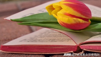 影片的发行版本并非公映许可证许可的版本，制片方应承担何种责任？