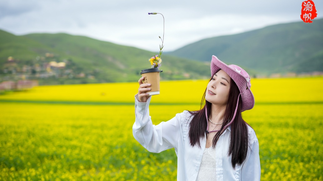 川西自駕游,在阿壩遇上一片油菜花海,盛夏7月開得正艷
