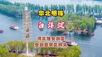 “华北明珠”白洋淀：安新县旅游码头游船来往穿梭，一派繁忙景象