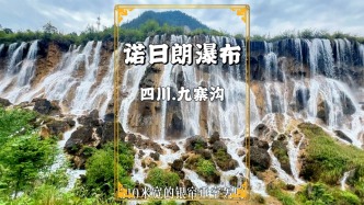 剛到九寨溝，游覽310米寬的諾日朗瀑布，如同一幅美麗的仙境畫卷