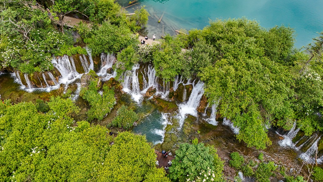 川西自駕游，避暑九寨溝，游覽“水景之王”箭竹海瀑布