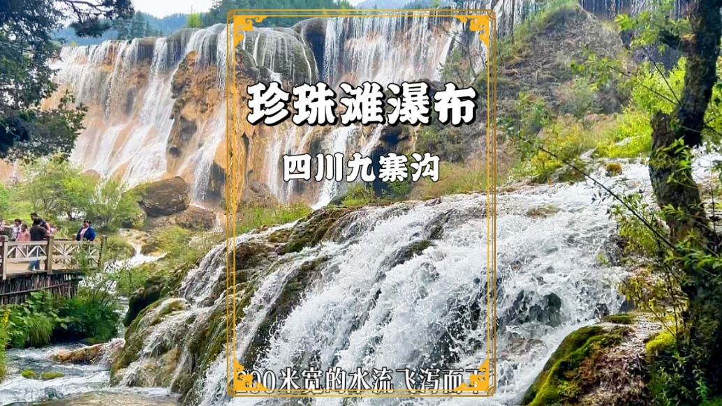 川西避暑游，走進(jìn)九寨溝，在珍珠灘瀑布感受什么才是人間仙境