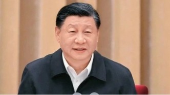 习近平：在全国生态环境保护大会上的讲话