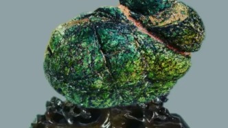 新石種的出現(xiàn)是真是假！