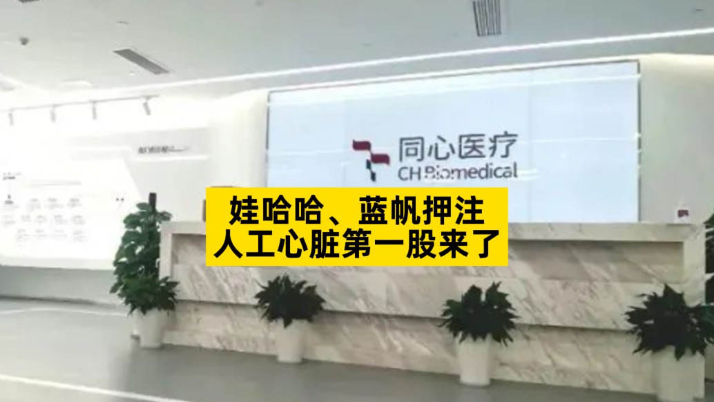 娃哈哈、藍(lán)帆押注，人工心臟第一股來了