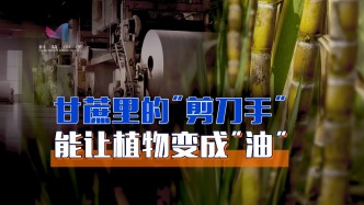 生物燃料难关被攻克！一把铜芯做的“刀”，斩断植物纤维素铠甲