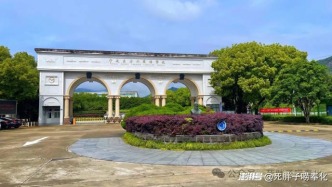 奉化高級中學(xué) · 一場跨越二十年的相逢