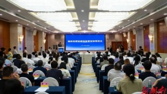 团队最高奖300万！湖南掏出1亿资金，发布8大微短剧扶持政策