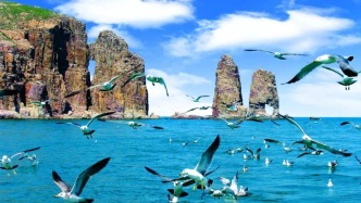 不只“果冻海”！山东宝藏海岛游玩全攻略