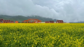 伯克希爾二季度利潤驟降59%，巴菲特接班人還能保持投資神話嗎？