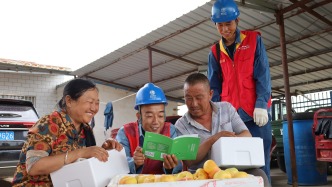 从线路到心田 用“电力温度”催熟南山仙桃