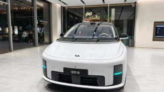 理想汽车，悬崖勒马
