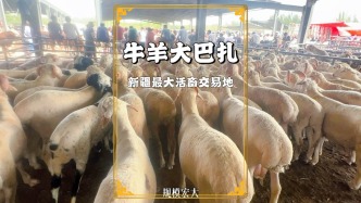 实拍喀什牛羊大巴扎，见证传说中的袖中议价，真是难得一见