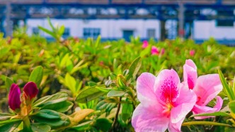 川维化工信息化技术赋能市场销售