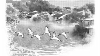 顯后村的四棵樹