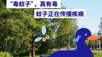 這屆毒蚊子真有毒（含防蚊攻略）