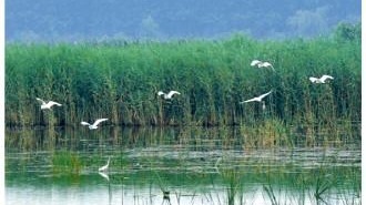生物多樣性保護(hù)評(píng)價(jià)結(jié)果將納入政績(jī)考核