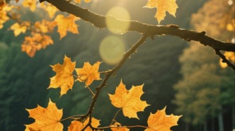 【辞赋】乙巳立秋赋‖王典馥 