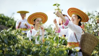 湖南隆回，低調(diào)的中國金銀花之鄉(xiāng)和龍牙百合之鄉(xiāng)