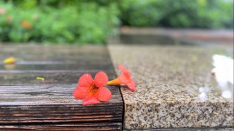 育兒心經(jīng)丨讓時間“變多”的秘密