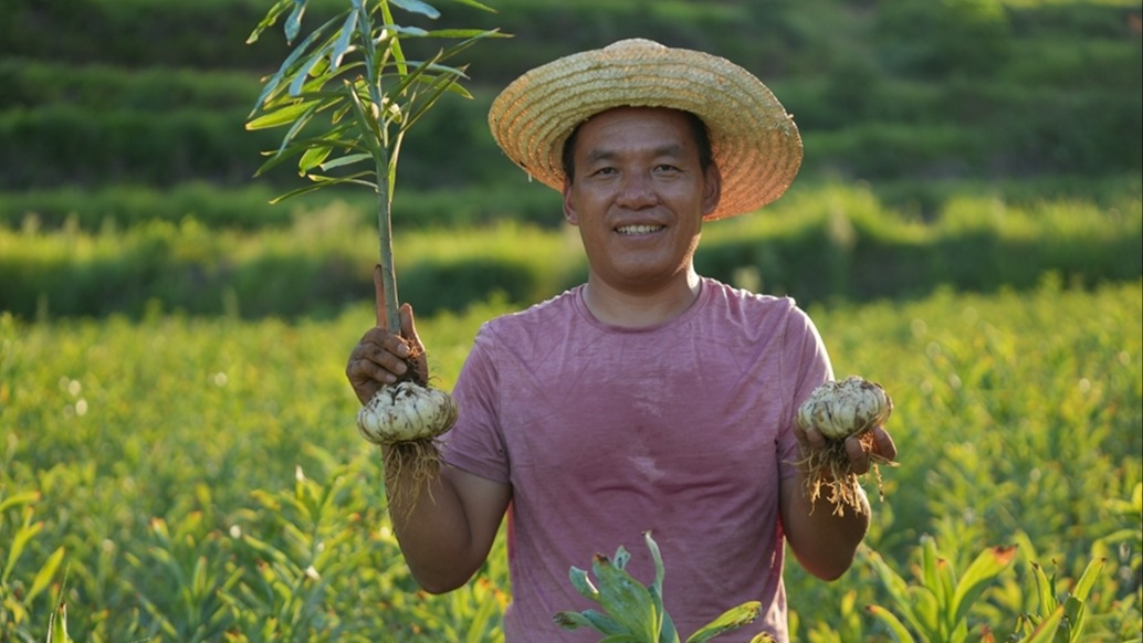 是什么讓這片土地，每年都孕育出十幾個(gè)農(nóng)民百萬富翁？