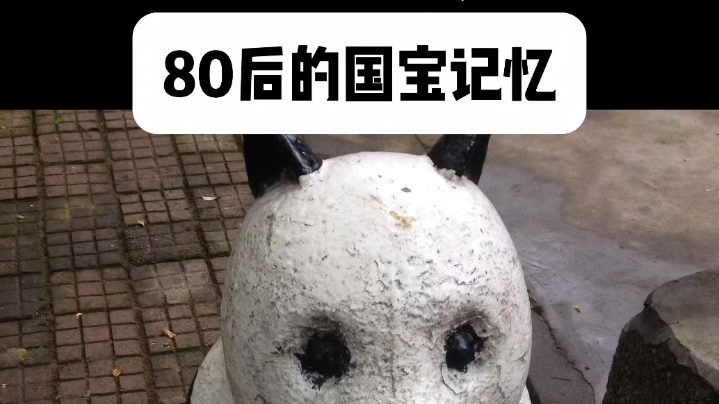 80后專屬國(guó)寶回憶殺