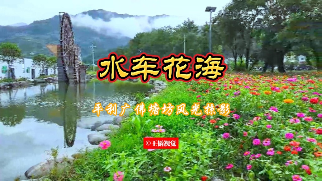 水車花?!兡咸练粔巫语L(fēng)光掠影