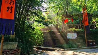 Follow“冪”，來臨沂看《生萬物》！