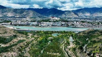 《问山3》第一集：刚强揭秘在海拔3600多米种活1.2亿棵树的秘密