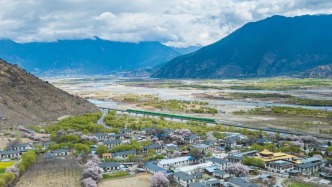 格桑花开映山河 团结奋进新征程——以习近平同志为核心的党中央情系雪域儿女擘画西藏发展纪实