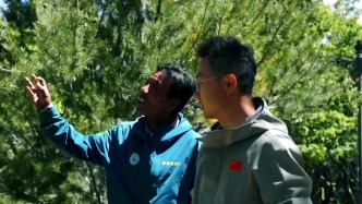 《问山3》：南北山小树长出“树二代”