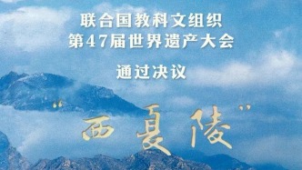 “西夏陵”列入《世界遺產(chǎn)名錄》
