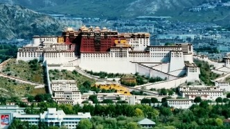 《问山3》：让荒山秃岭披上绿纱有多难？