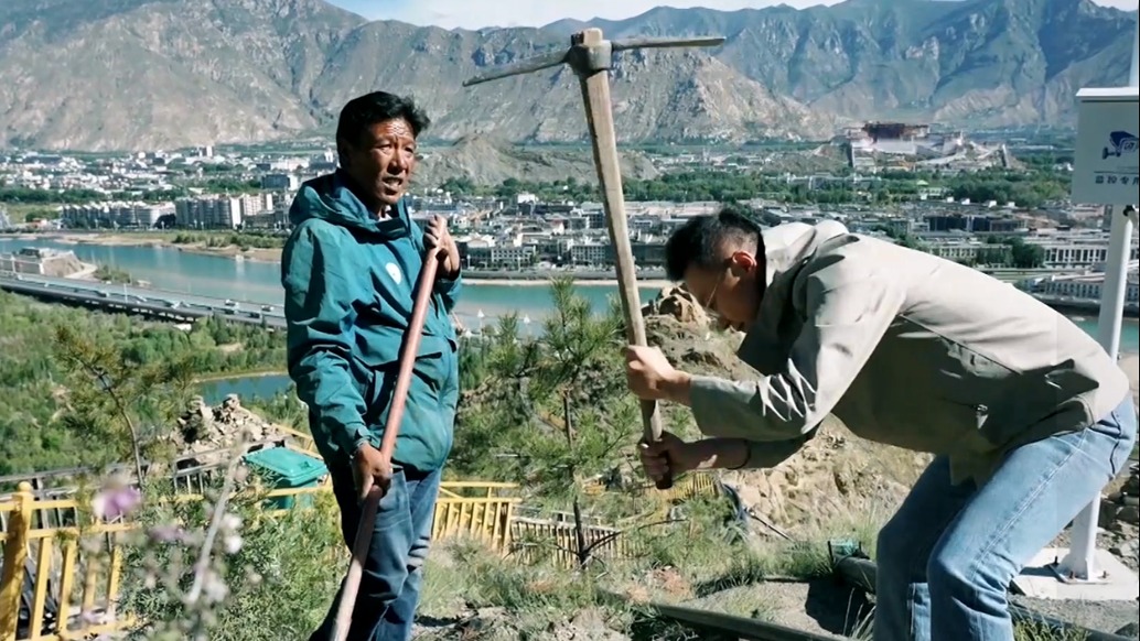 《問山3》：剛強(qiáng)在拉薩的最高點(diǎn)種下了一棵小樹苗
