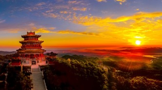 “我想離開浪浪山，到濰坊去看一看！”